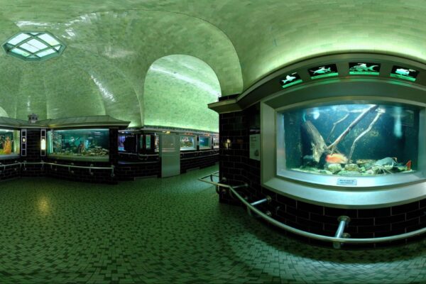 Belle Isle Aquarium